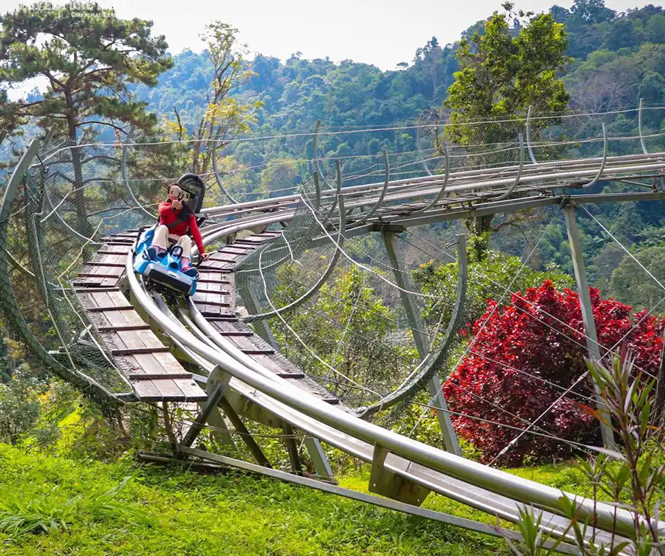 Chiang Mai: Pongyang Jungle Coaster and Zipline