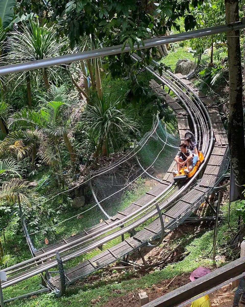 Chiang Mai: Pongyang Jungle Coaster and Zipline