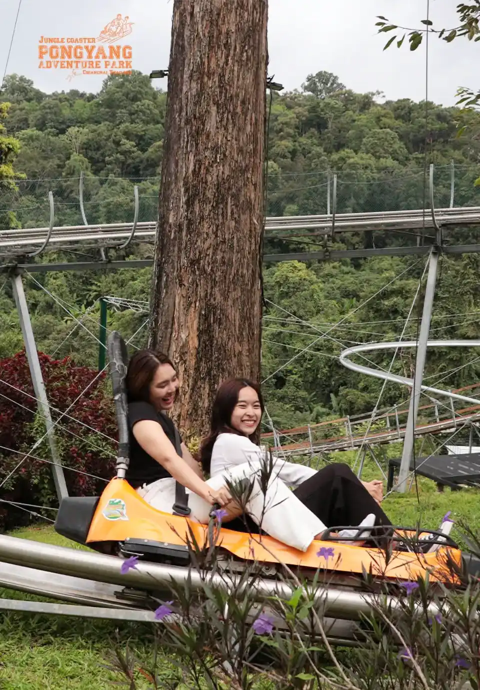 Chiang Mai: Pongyang Jungle Coaster and Zipline