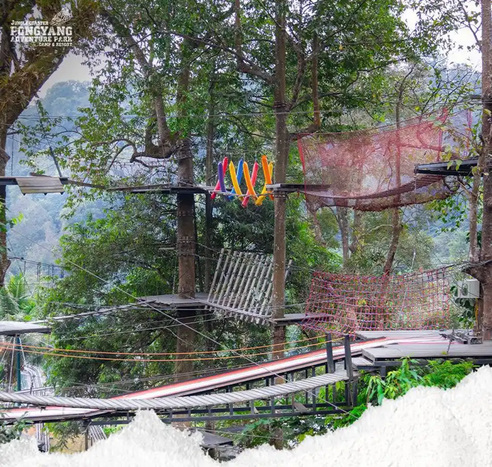 Chiang Mai: Pongyang Jungle Coaster and Zipline