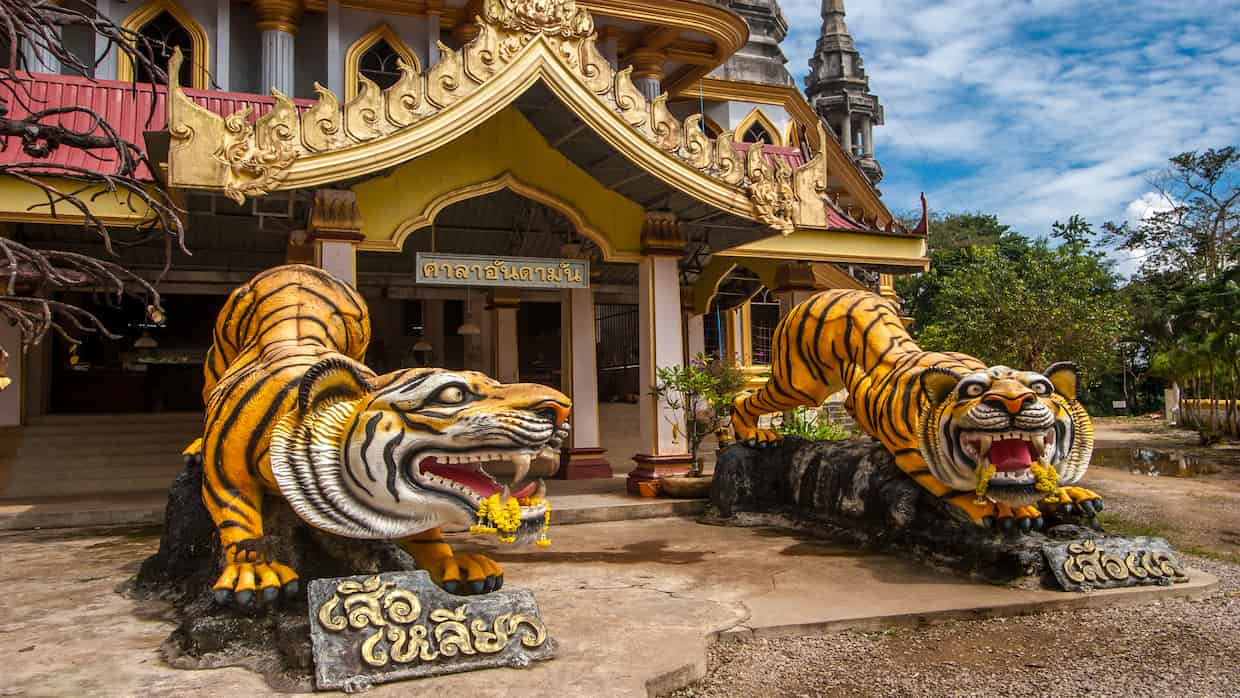 Tiger Cave Temple Steps: What to Expect on the 1,237-Step Climb
