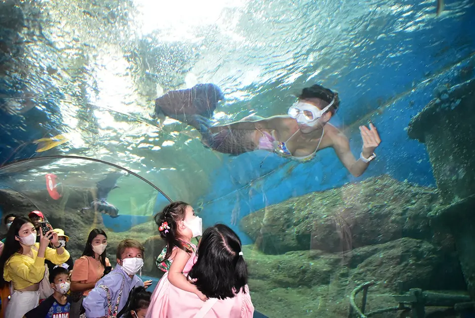 Pattaya photo spots:  Popular photo spot at Underwater World Pattaya showing visitors in the glass tunnel watching a snorkeler demonstrate underwater activities, with sunlight filtering through the water above