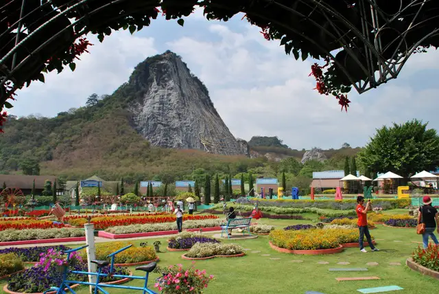 Colorful flower gardens at Khao Chi Chan in Pattaya with the famous Buddha mountain carving visible in the background