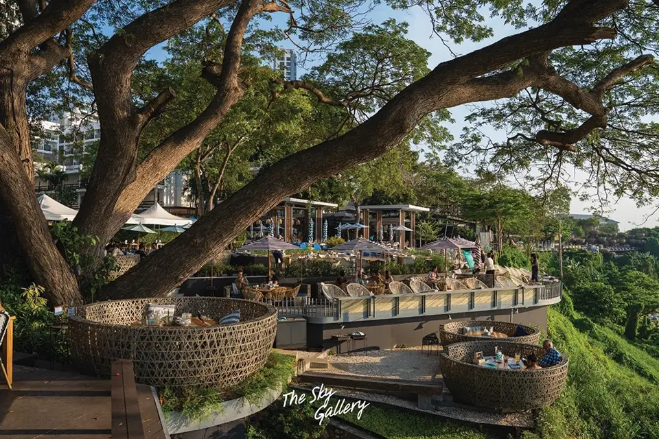 The Sky Gallery at Pratumnak Hill featuring tiered outdoor seating areas with woven furniture nestled among mature trees