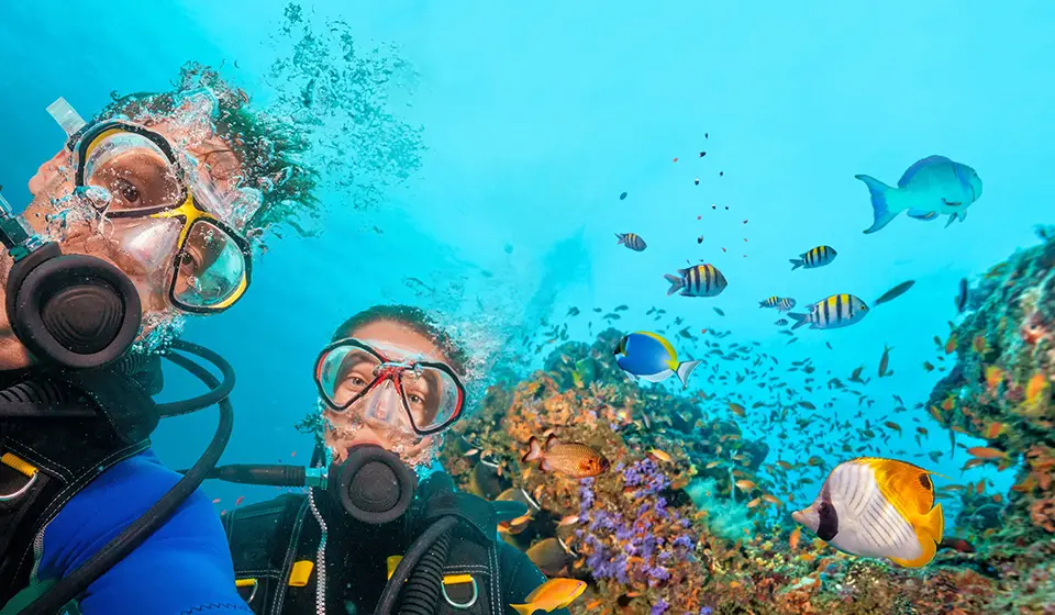 Underwater diving experience showing divers exploring vibrant coral garden filled with colorful fish species in crystal clear waters