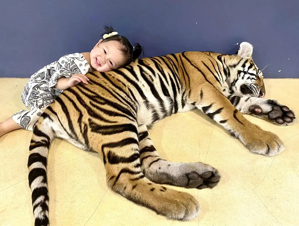 Tiger PARK Pattaya Ticket