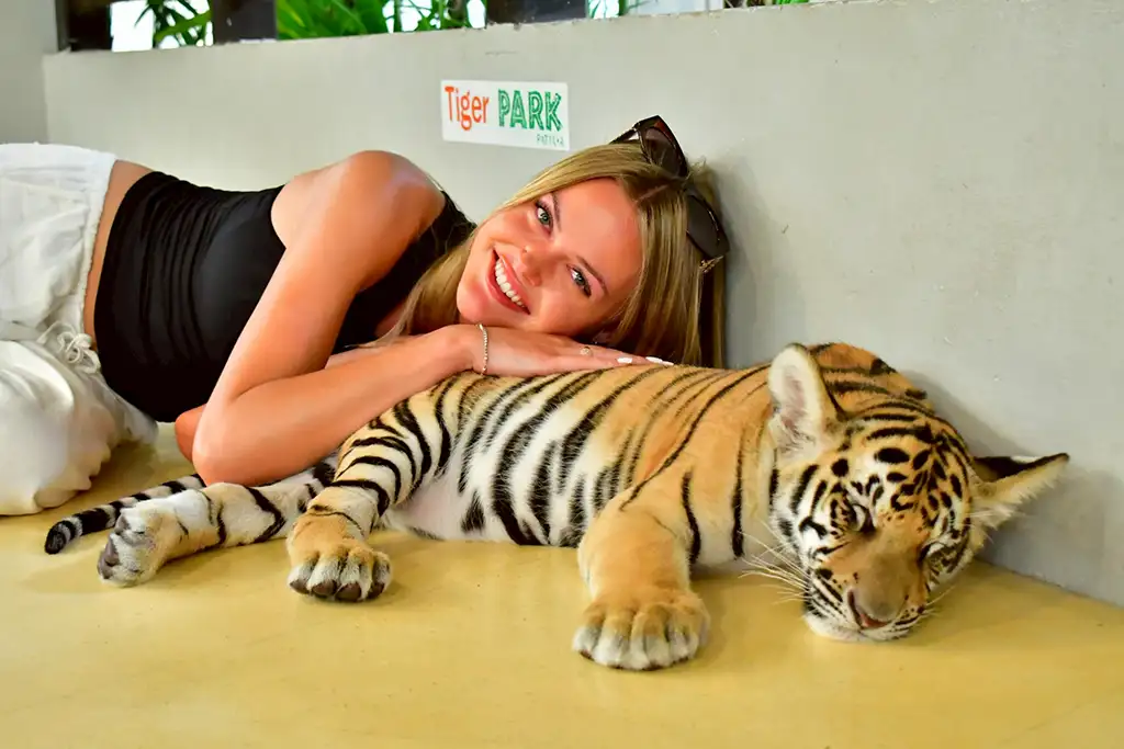 Tiger PARK Pattaya Ticket