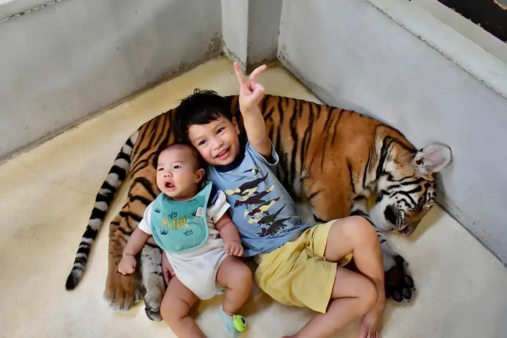 Tiger PARK Pattaya Ticket