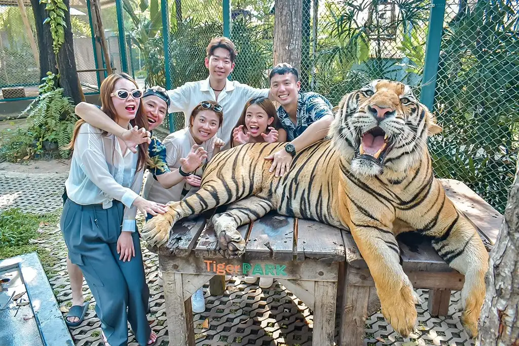 Tiger PARK Pattaya Ticket