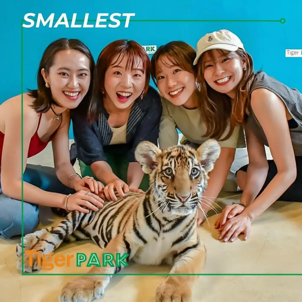 Tiger PARK Pattaya Ticket
