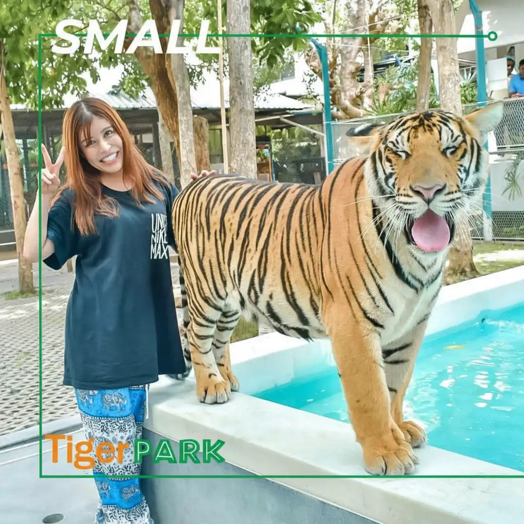 Tiger PARK Pattaya Ticket