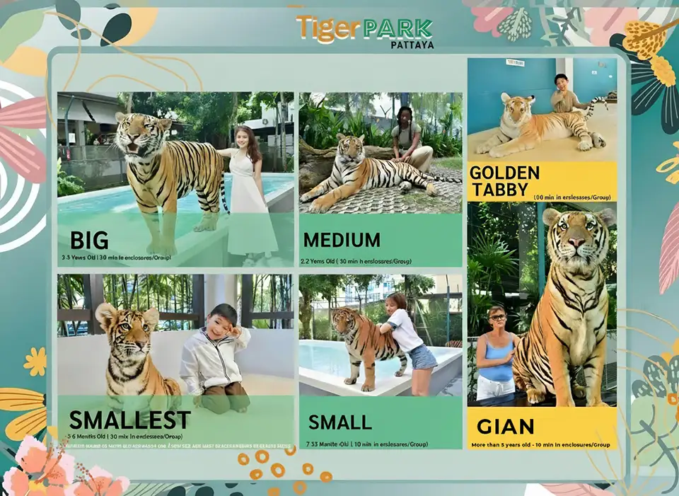 Tiger PARK Pattaya Ticket