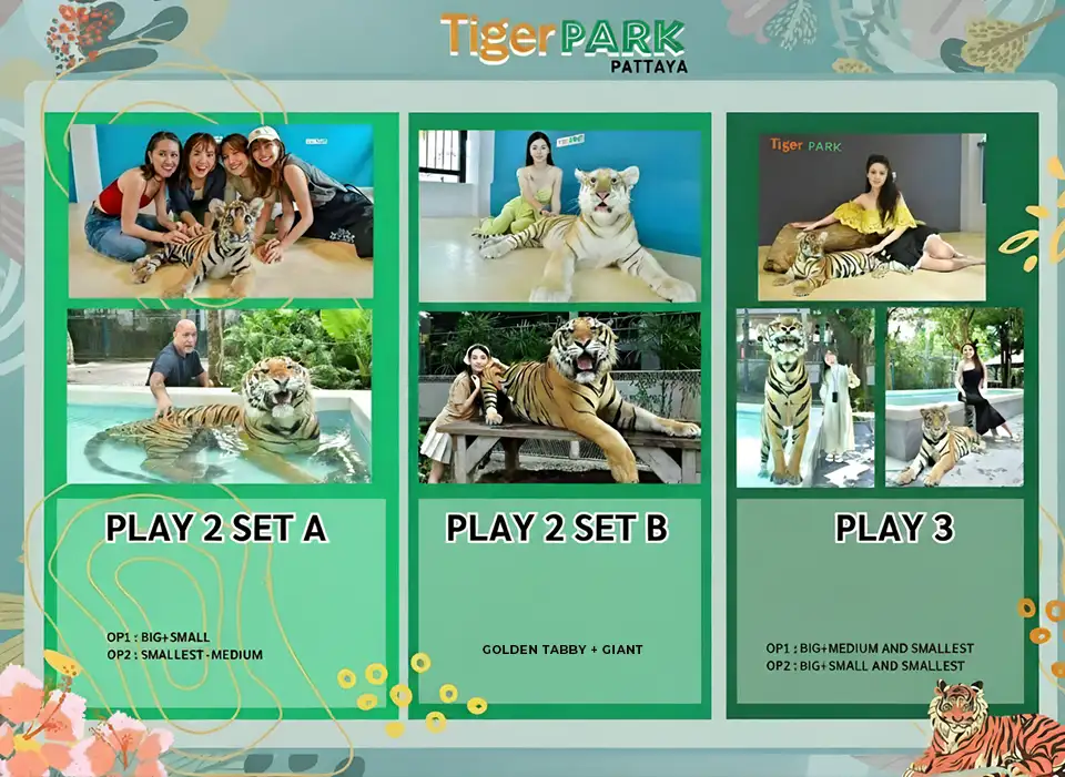 Tiger PARK Pattaya Ticket
