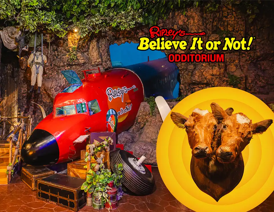 Pattaya: Ripley’s Believe It or Not Museum Ticket