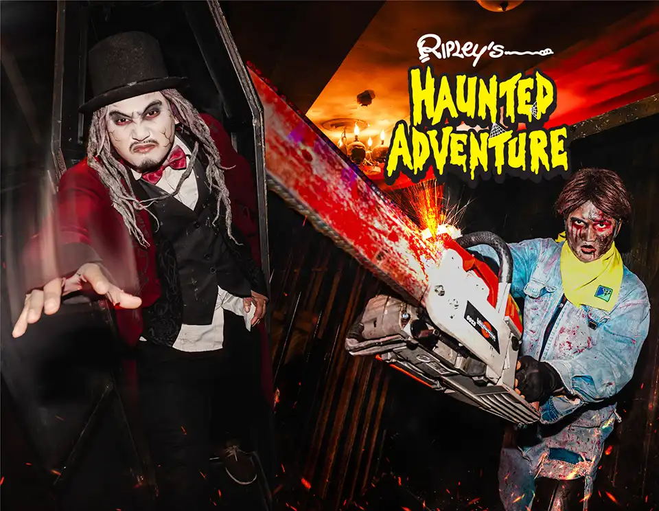 Pattaya: Ripley’s Believe It or Not Museum Ticket