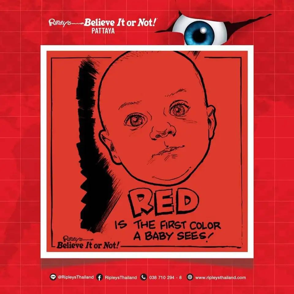 Pattaya: Ripley’s Believe It or Not Museum Ticket
