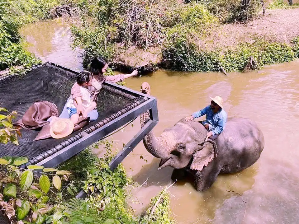 Pattaya Elephant Village and MongChang Cafe