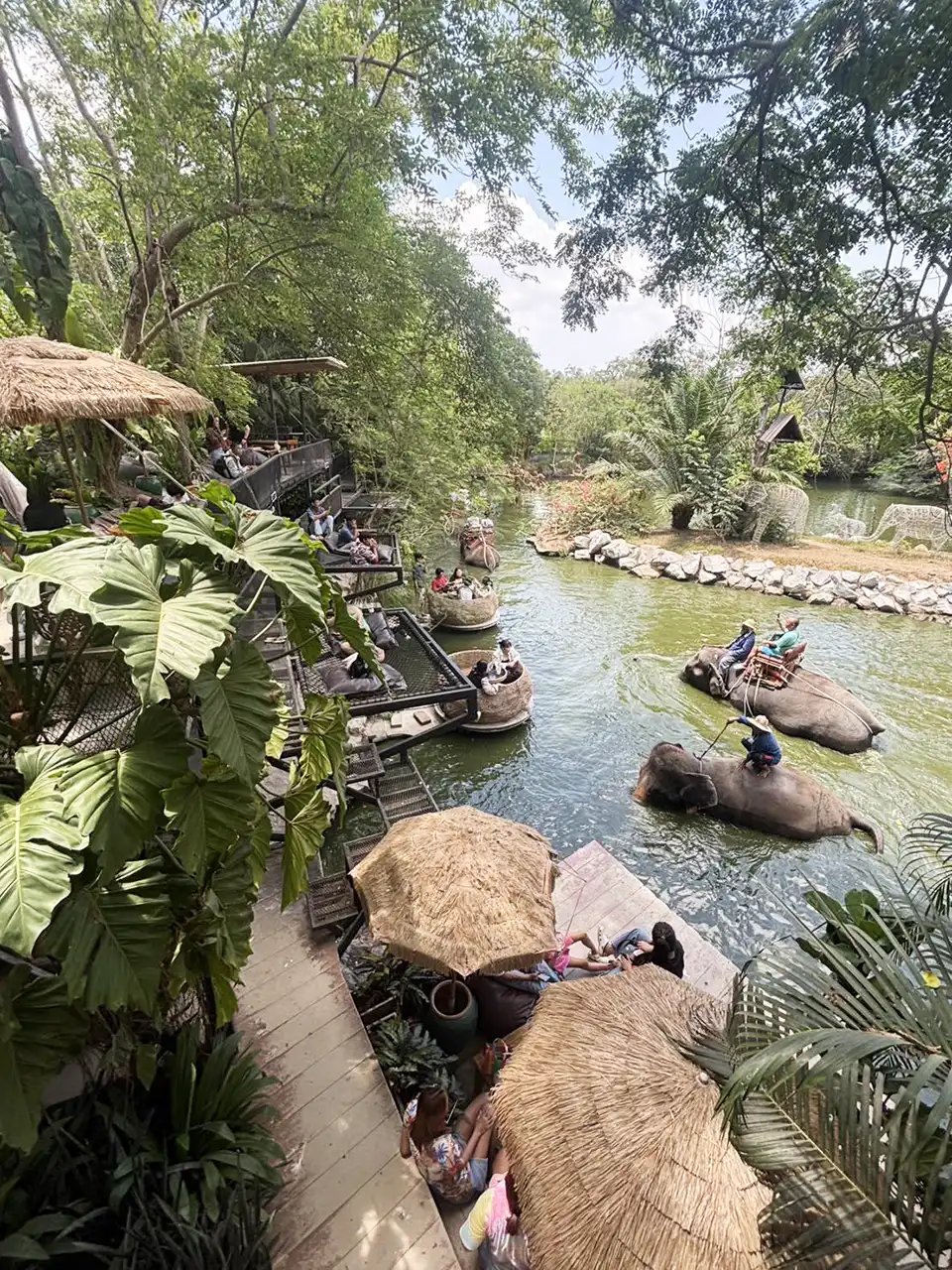 Pattaya Elephant Village and MongChang Cafe