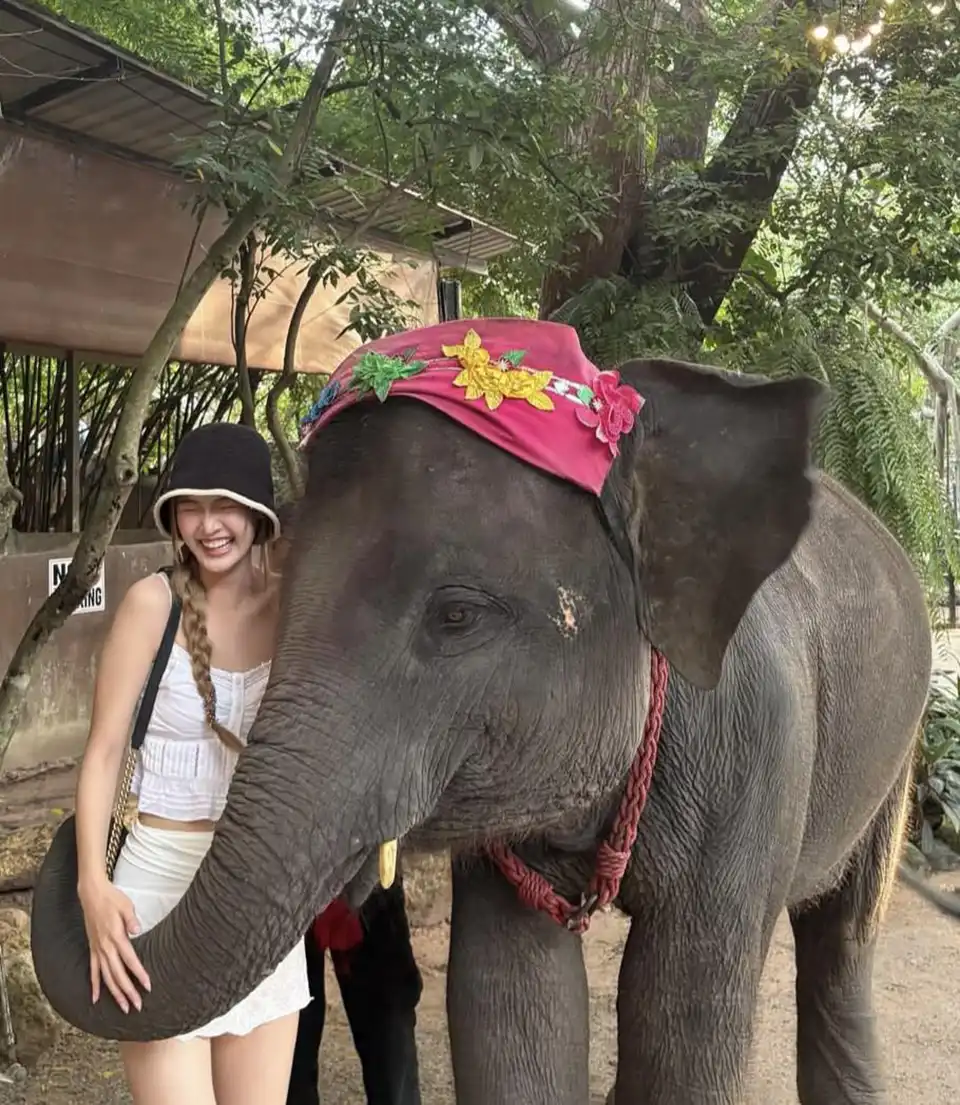 Pattaya Elephant Village and MongChang Cafe