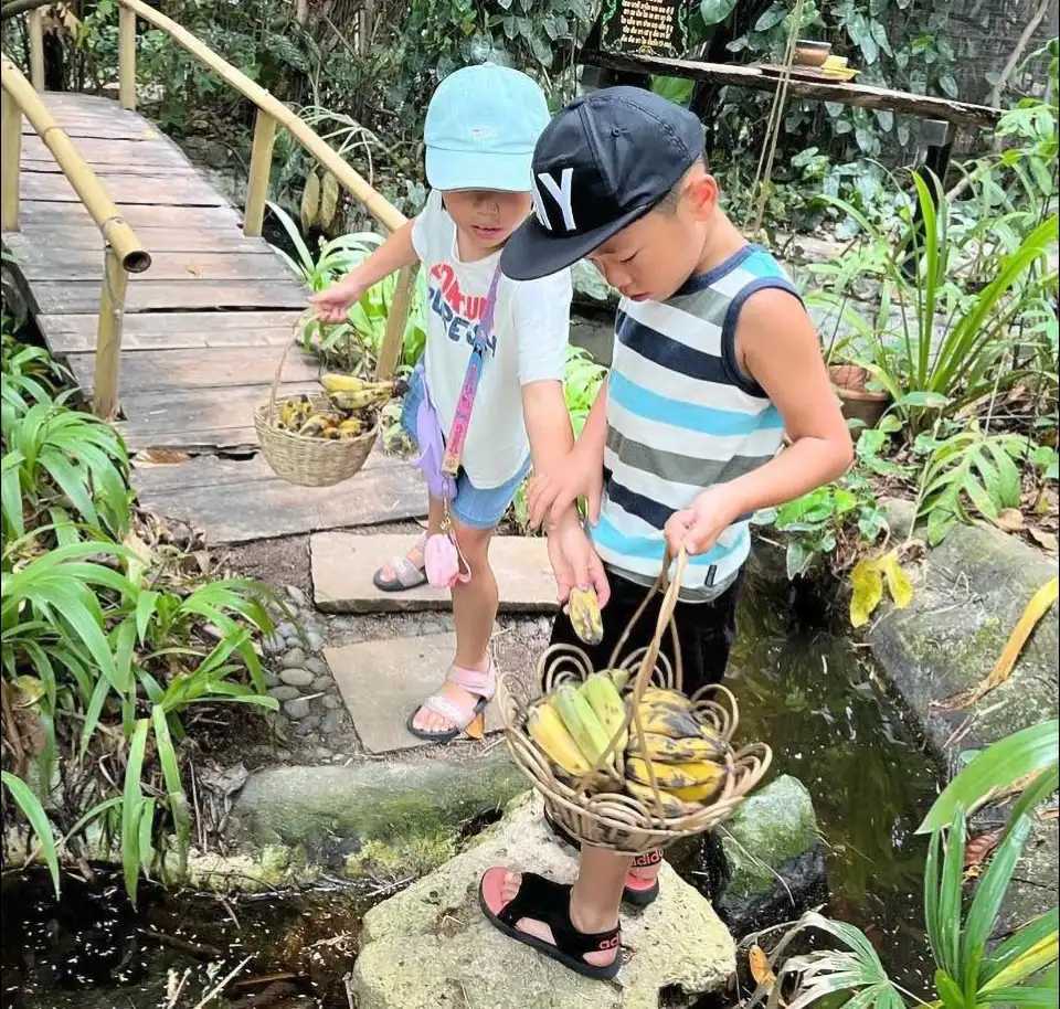 Pattaya Elephant Village and MongChang Cafe