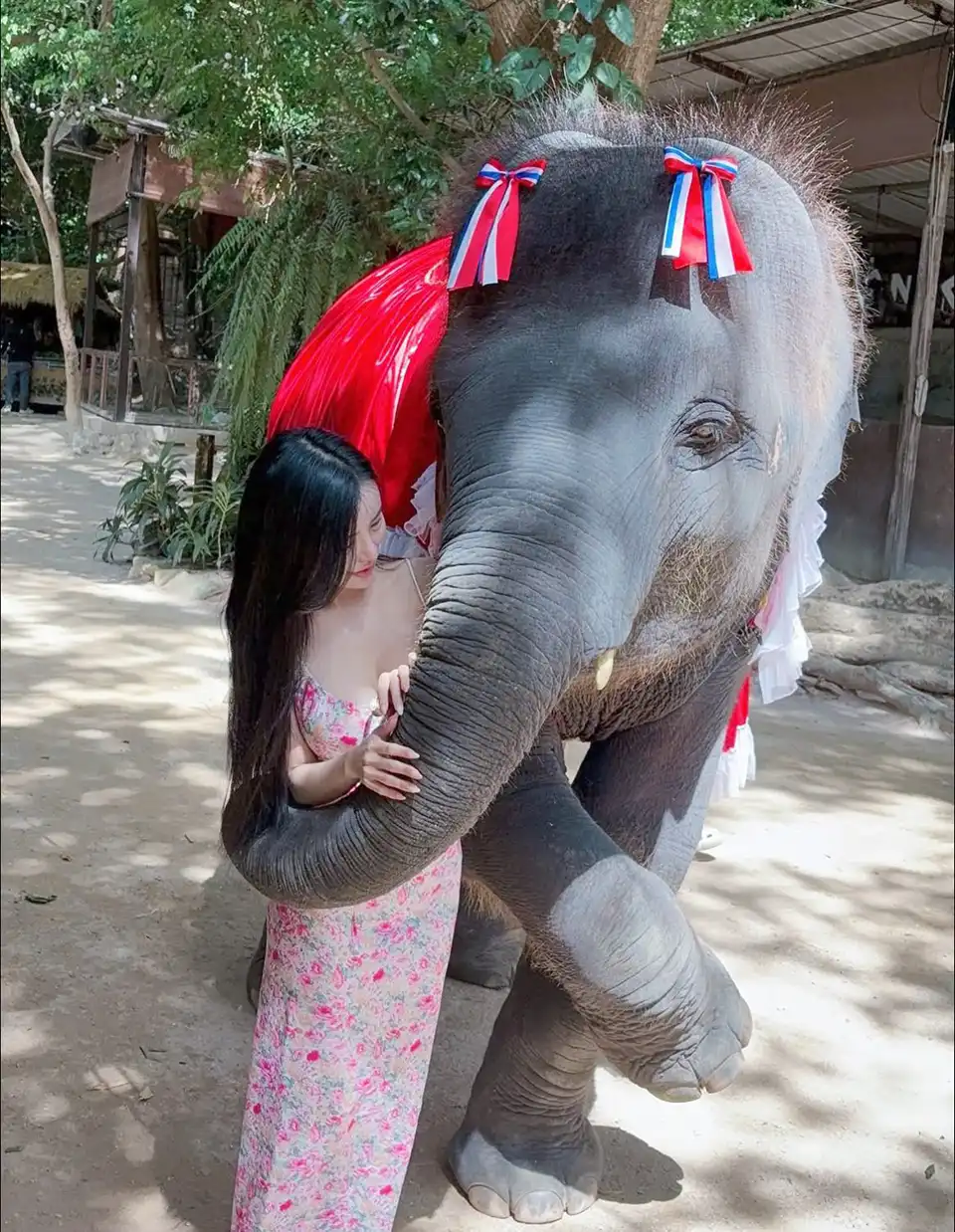 Pattaya Elephant Village and MongChang Cafe