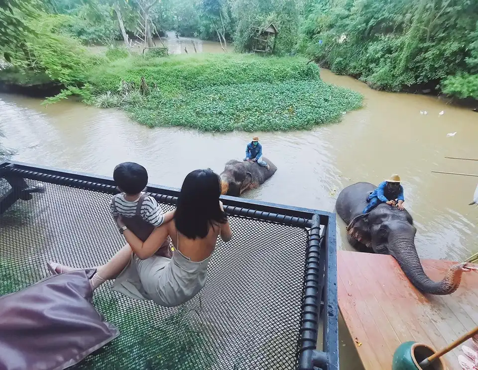 Pattaya Elephant Village and MongChang Cafe