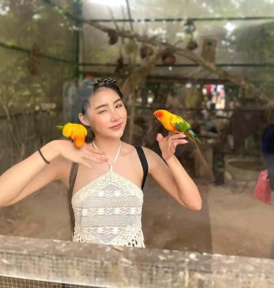 Pattaya Elephant Village and MongChang Cafe