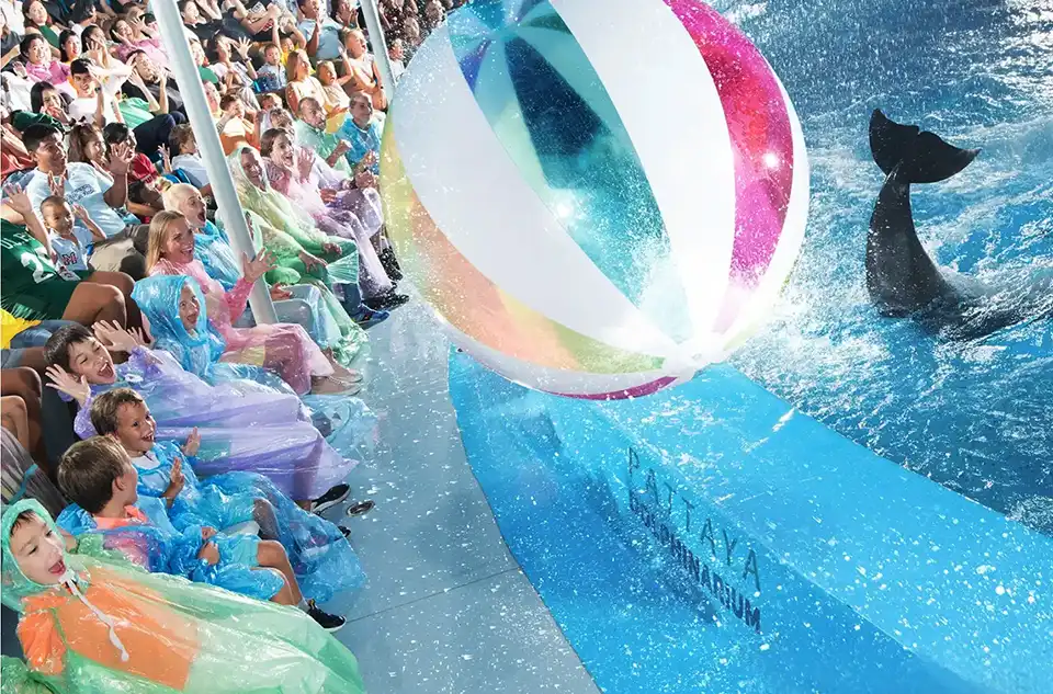 Pattaya Dolphinarium