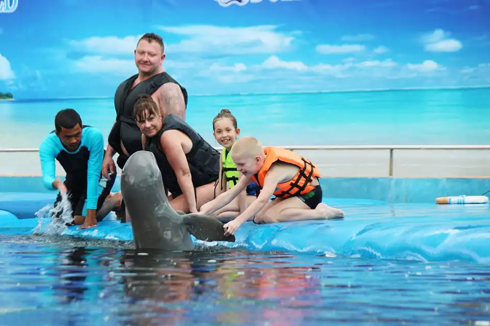 Pattaya Dolphinarium
