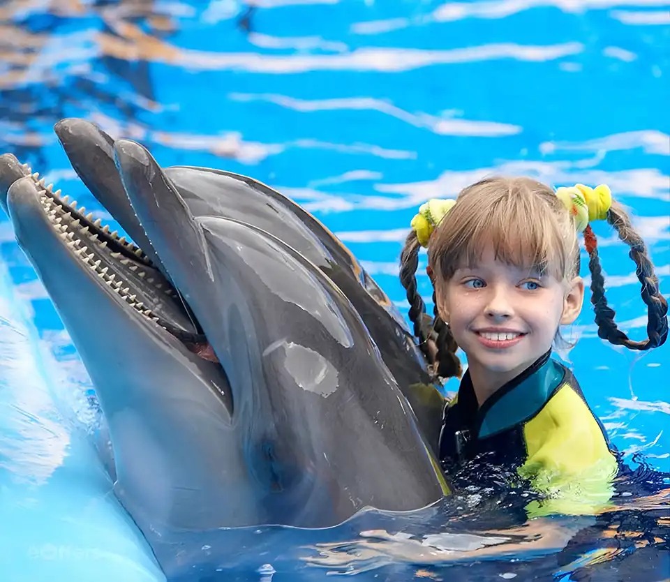 Pattaya Dolphinarium