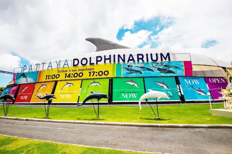 Pattaya Dolphinarium
