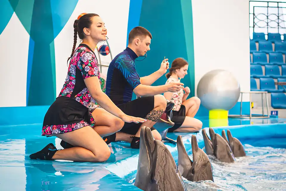 Pattaya Dolphinarium