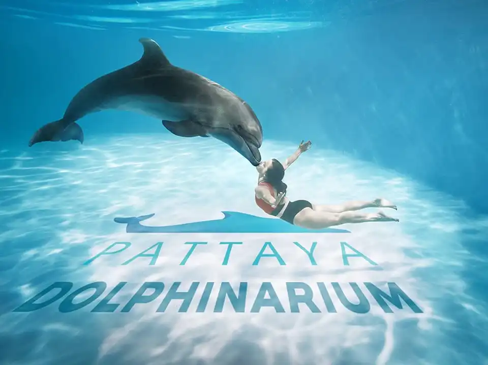 Pattaya Dolphinarium