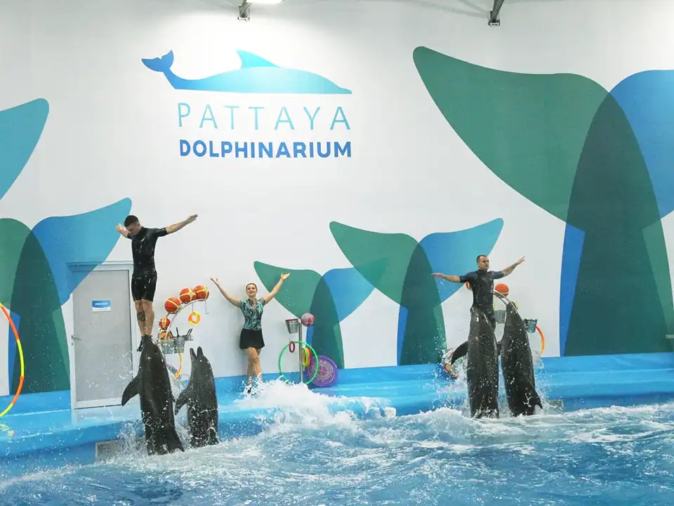 Pattaya Dolphinarium