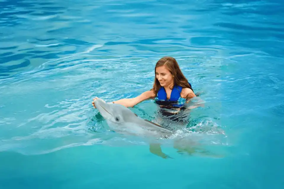 Pattaya Dolphinarium