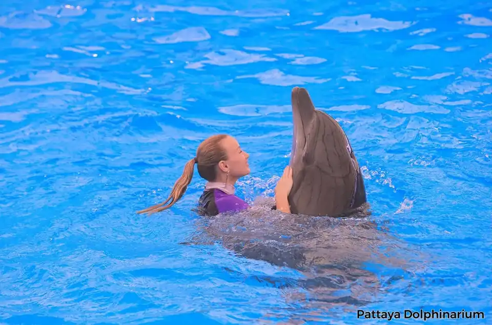 Pattaya Dolphinarium