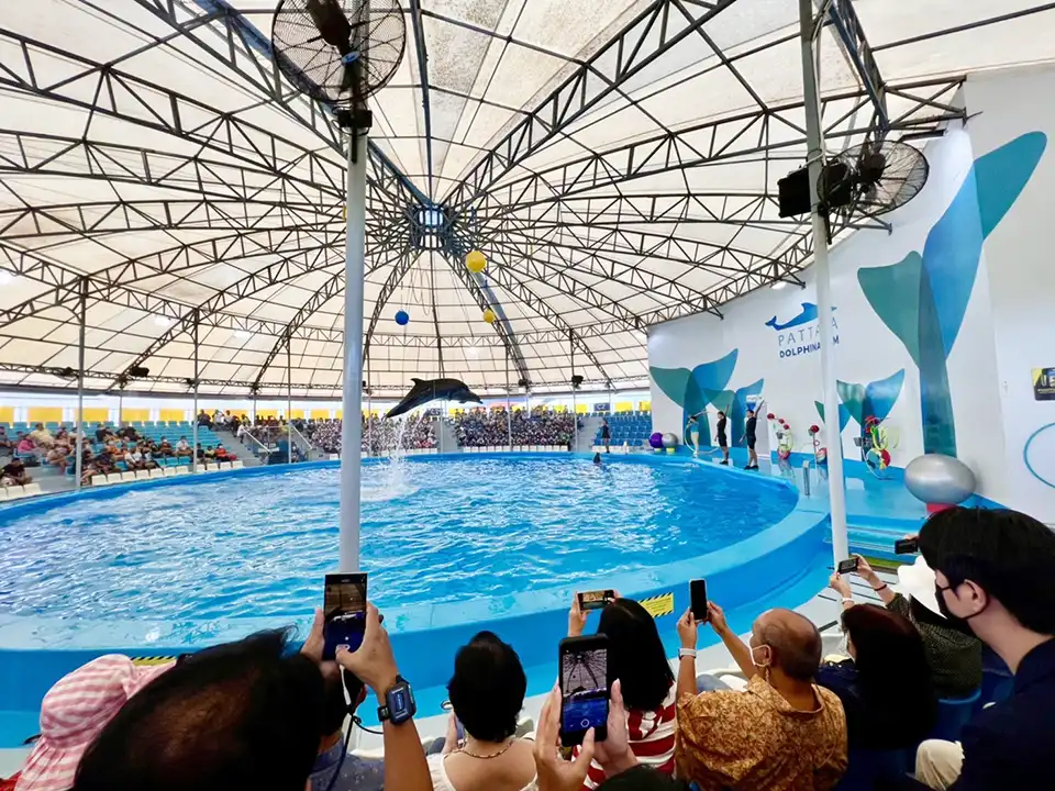 Pattaya Dolphinarium