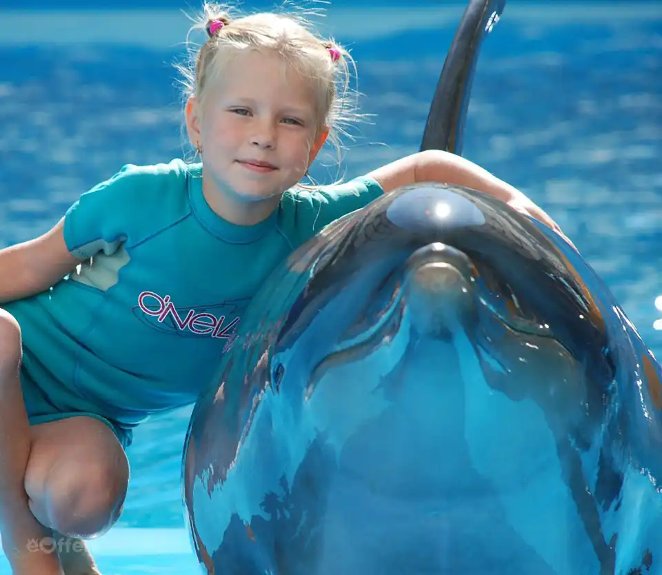 Pattaya Dolphinarium