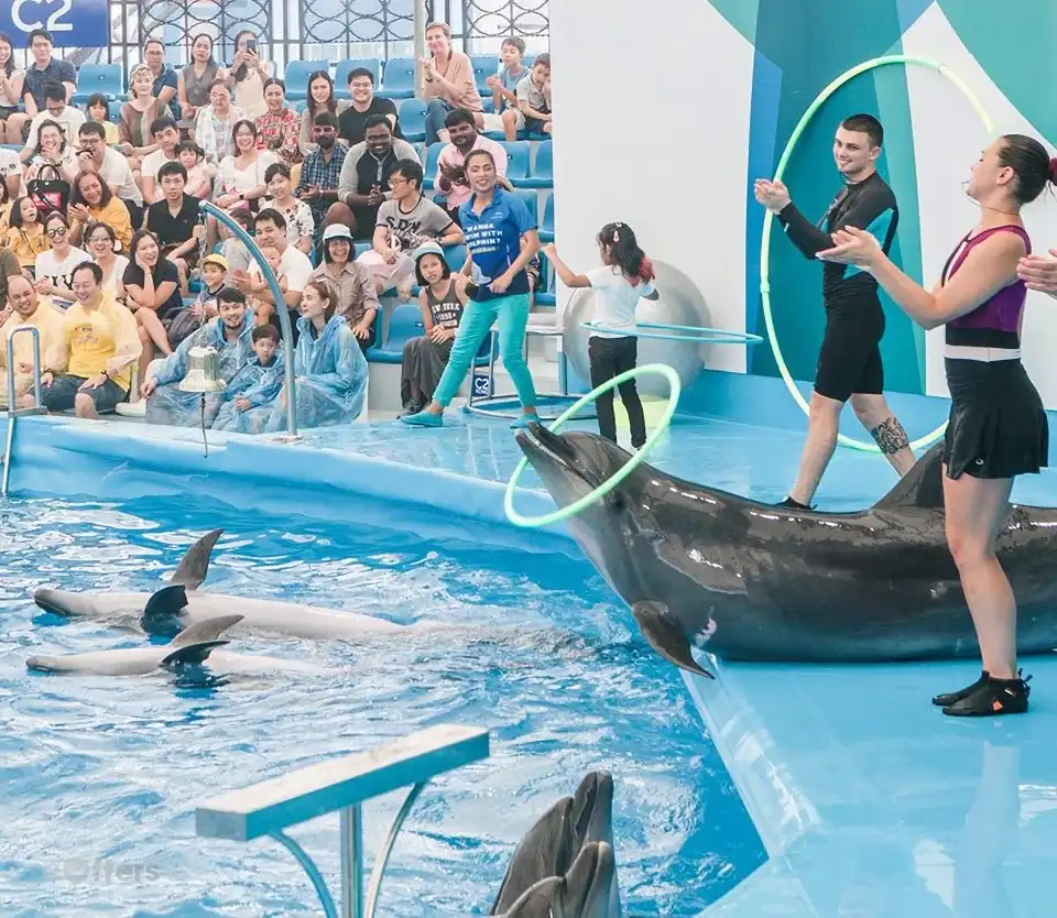 Pattaya Dolphinarium