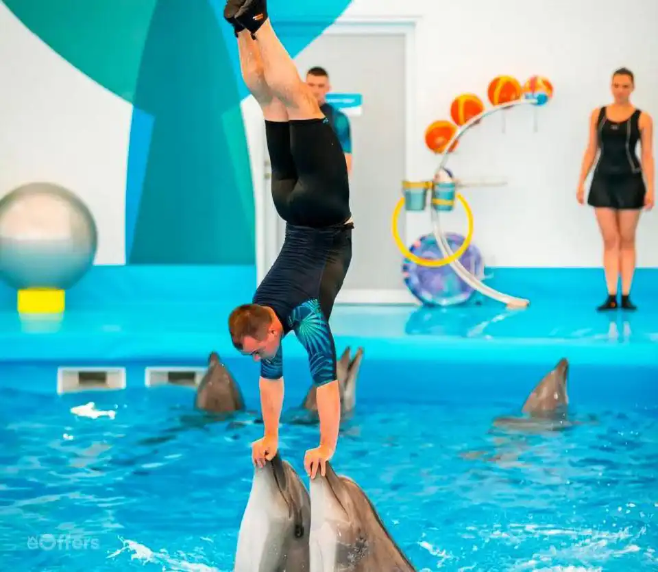 Pattaya Dolphinarium