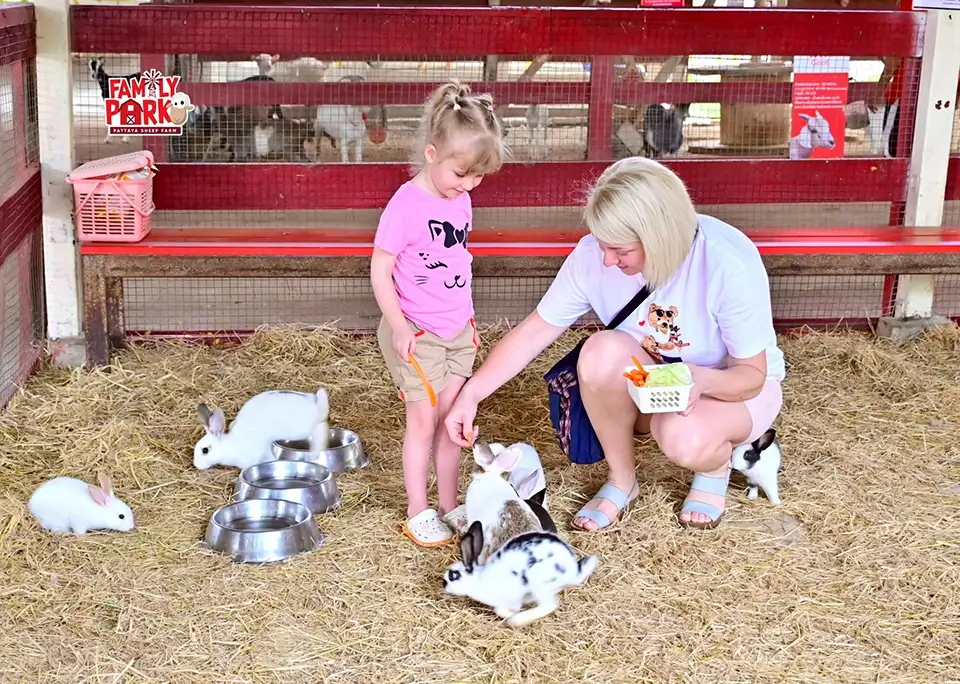 Pattaya: Family Park Pattaya Sheep Farm Ticket