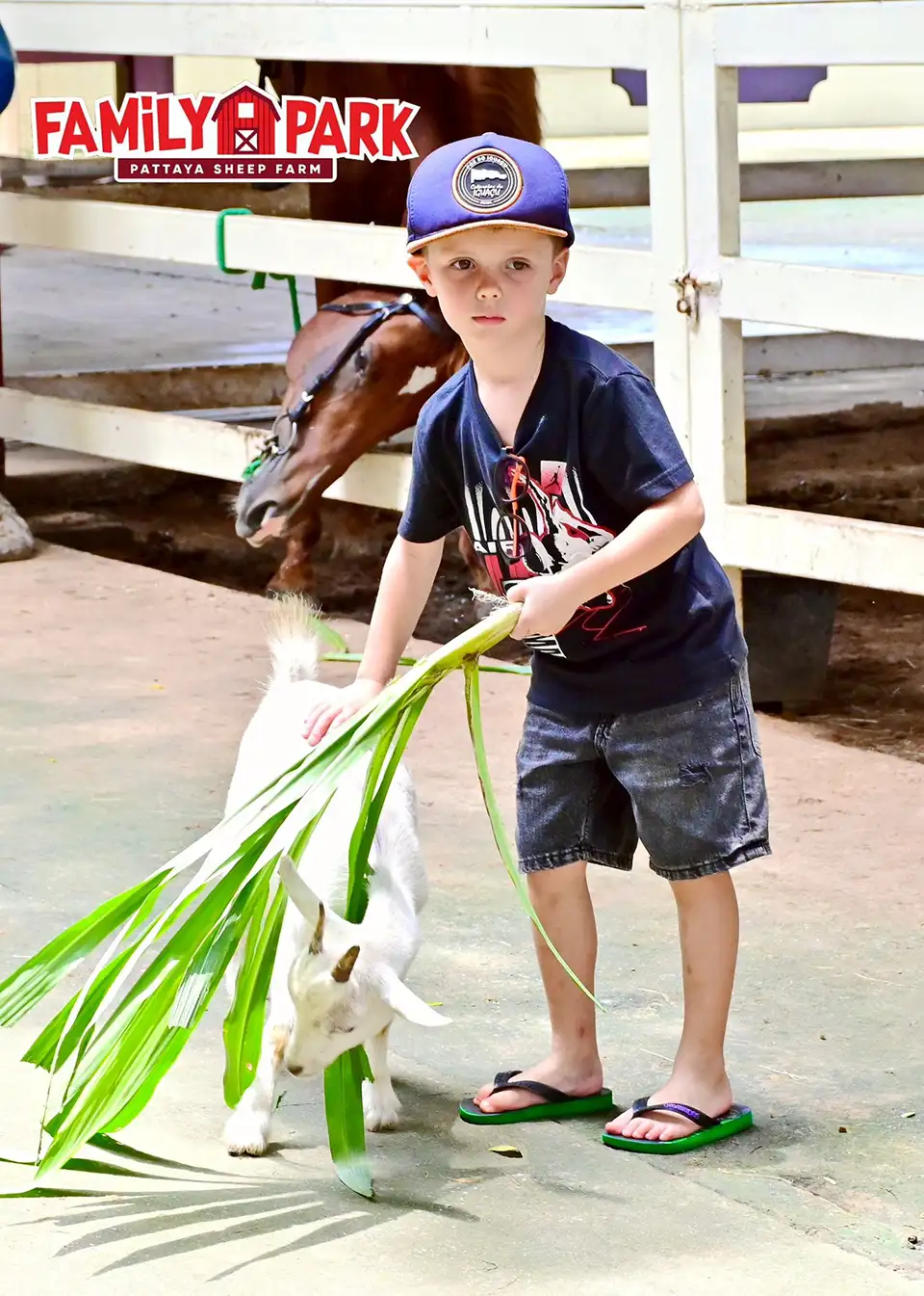 Pattaya: Family Park Pattaya Sheep Farm Ticket