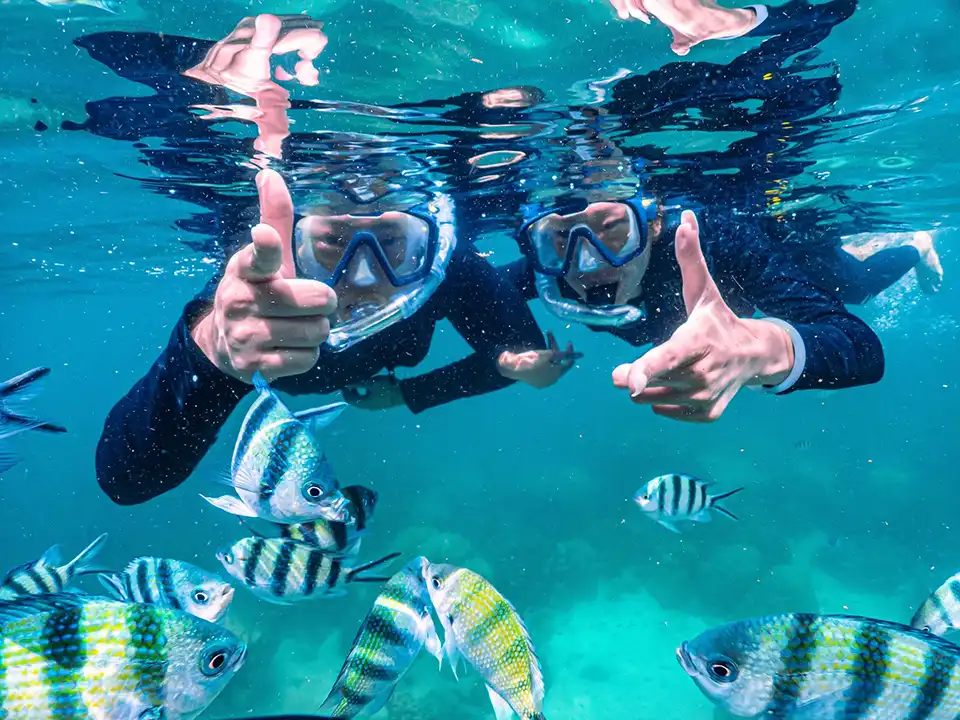 Pattaya: Self-Drive Jetski Half Day Trip (Beginner-Friendly)