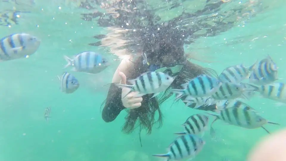 Pattaya: Self-Drive Jetski Half Day Trip (Beginner-Friendly)