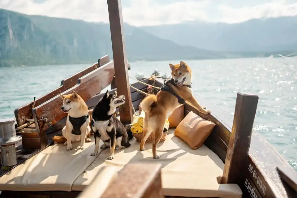 Pattaya: Private Wooden Boat Trip – Le Fong Ta Lay / Le Fong Ar-Kad (Pet Friendly)