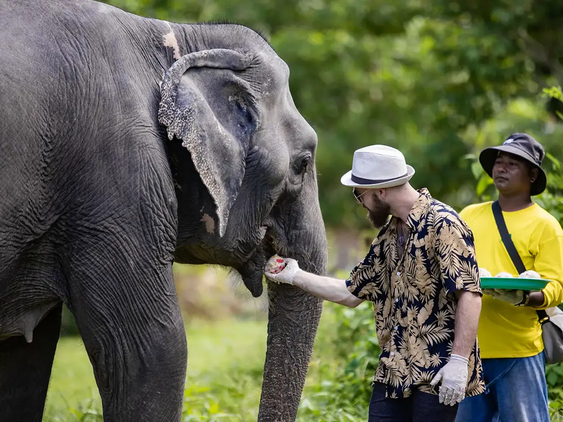 Phuket: Bukit Elephant Park Experience