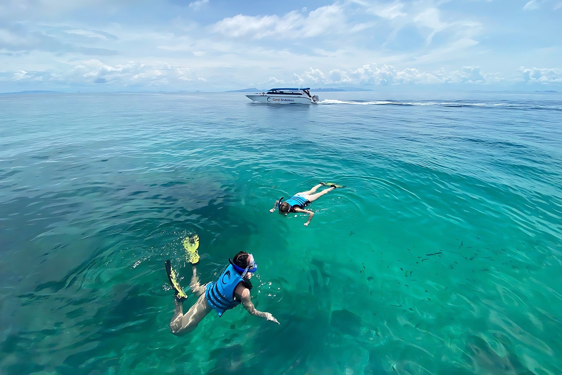 From Phuket: Phi Phi One Day Tour by Flying Dolphine 1