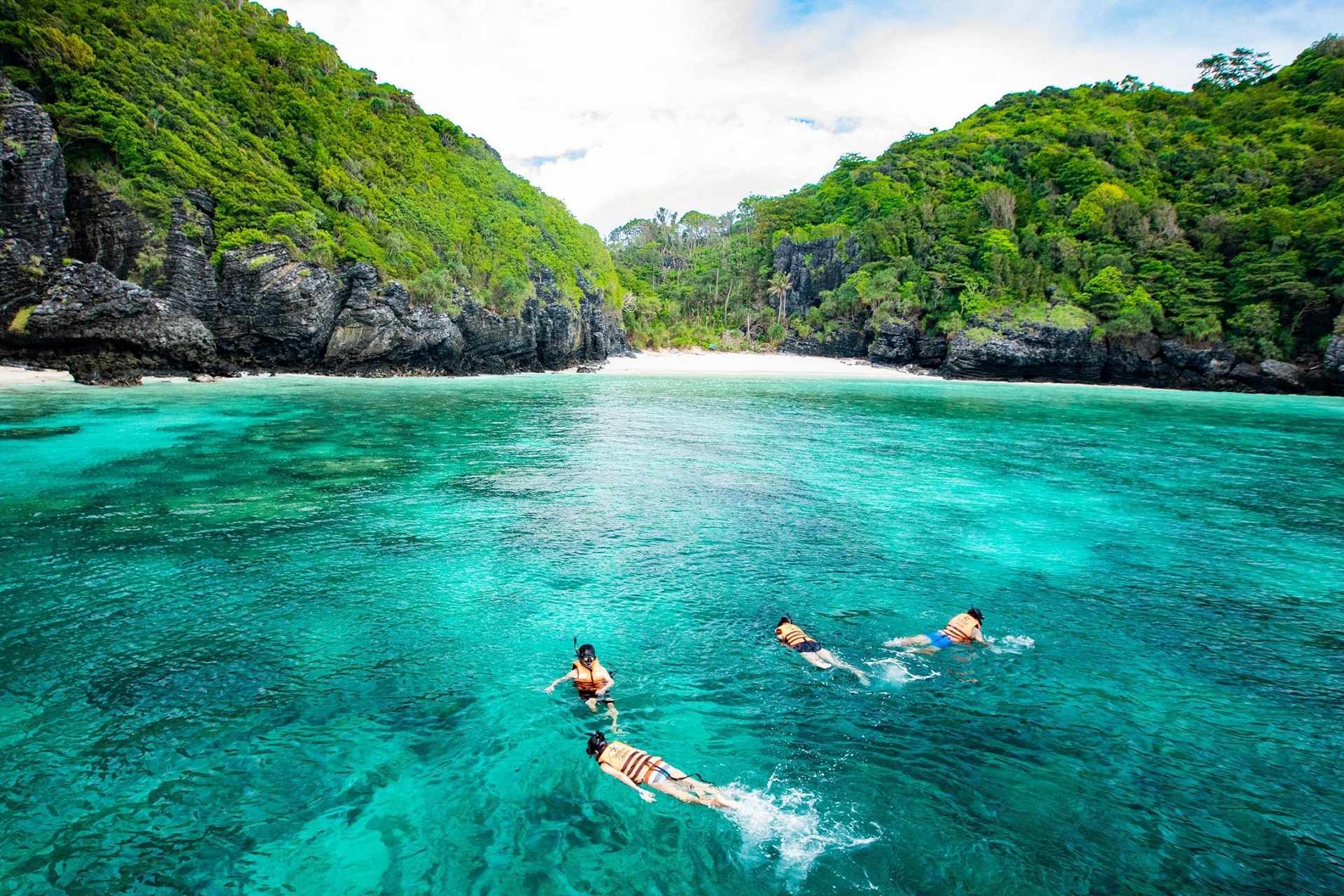 From Phuket: Seastar Phi Phi island and bamboo island one day