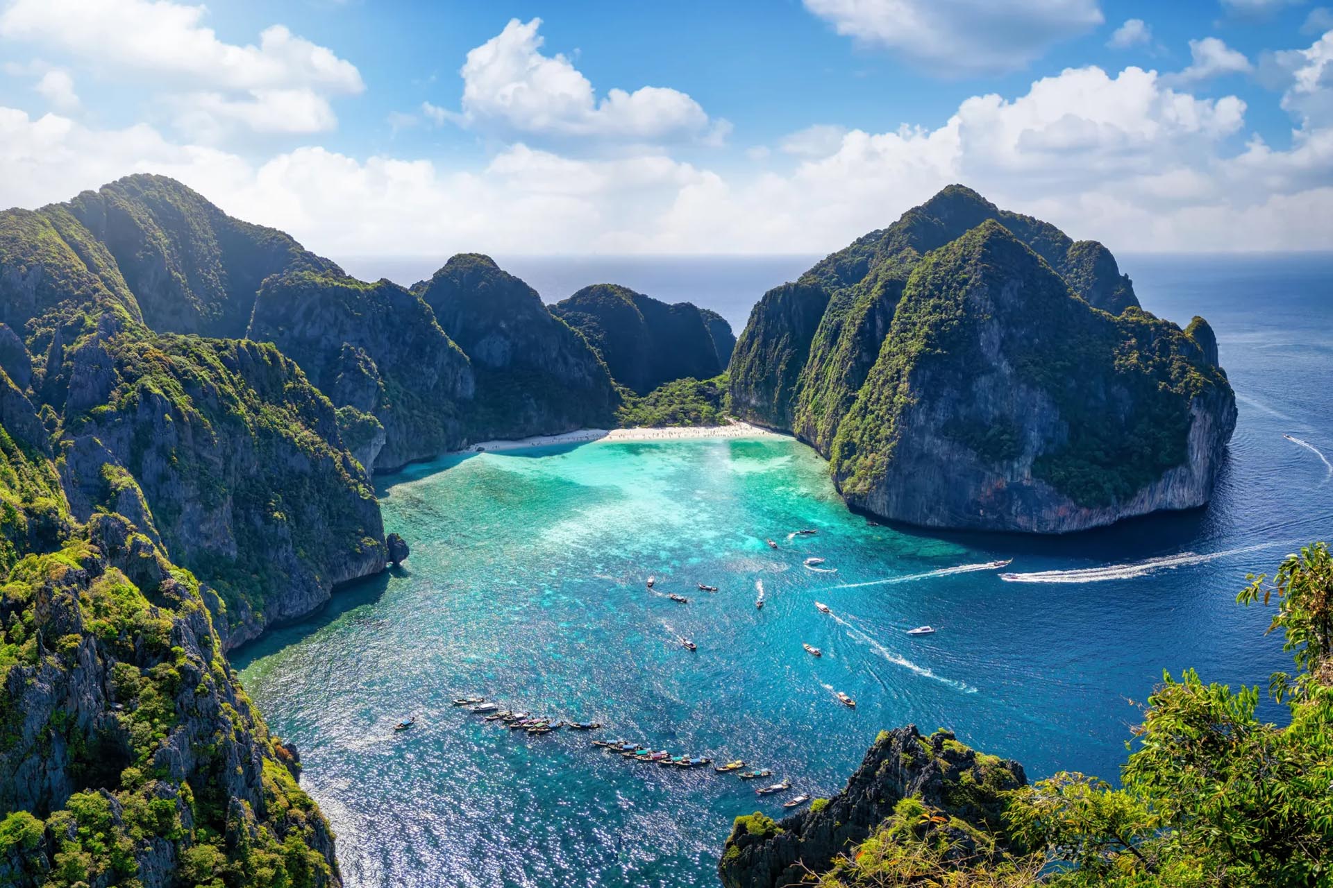 From Phuket: Seastar Phi Phi island and bamboo island one day