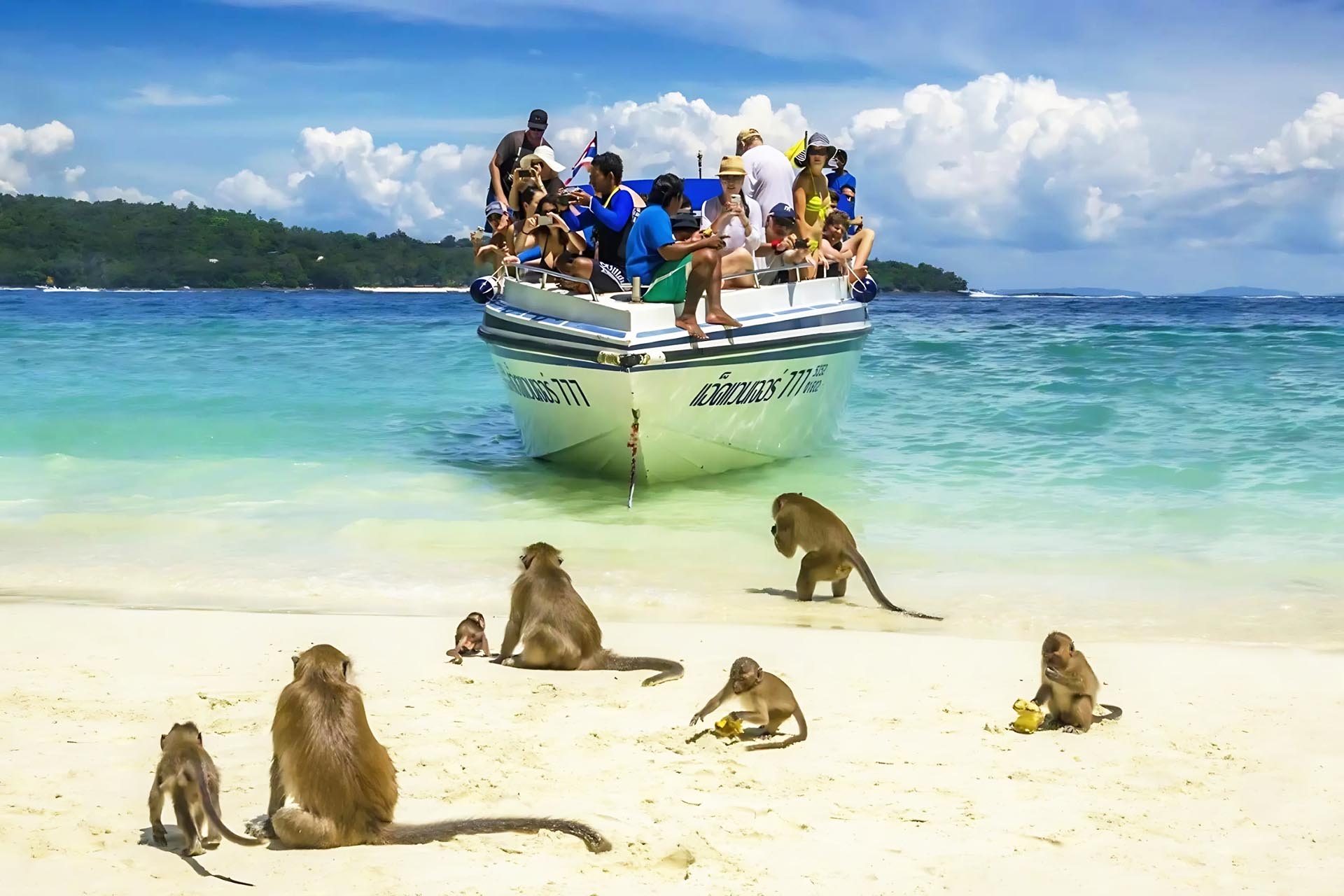 From Phuket: Seastar Phi Phi island and bamboo island one day